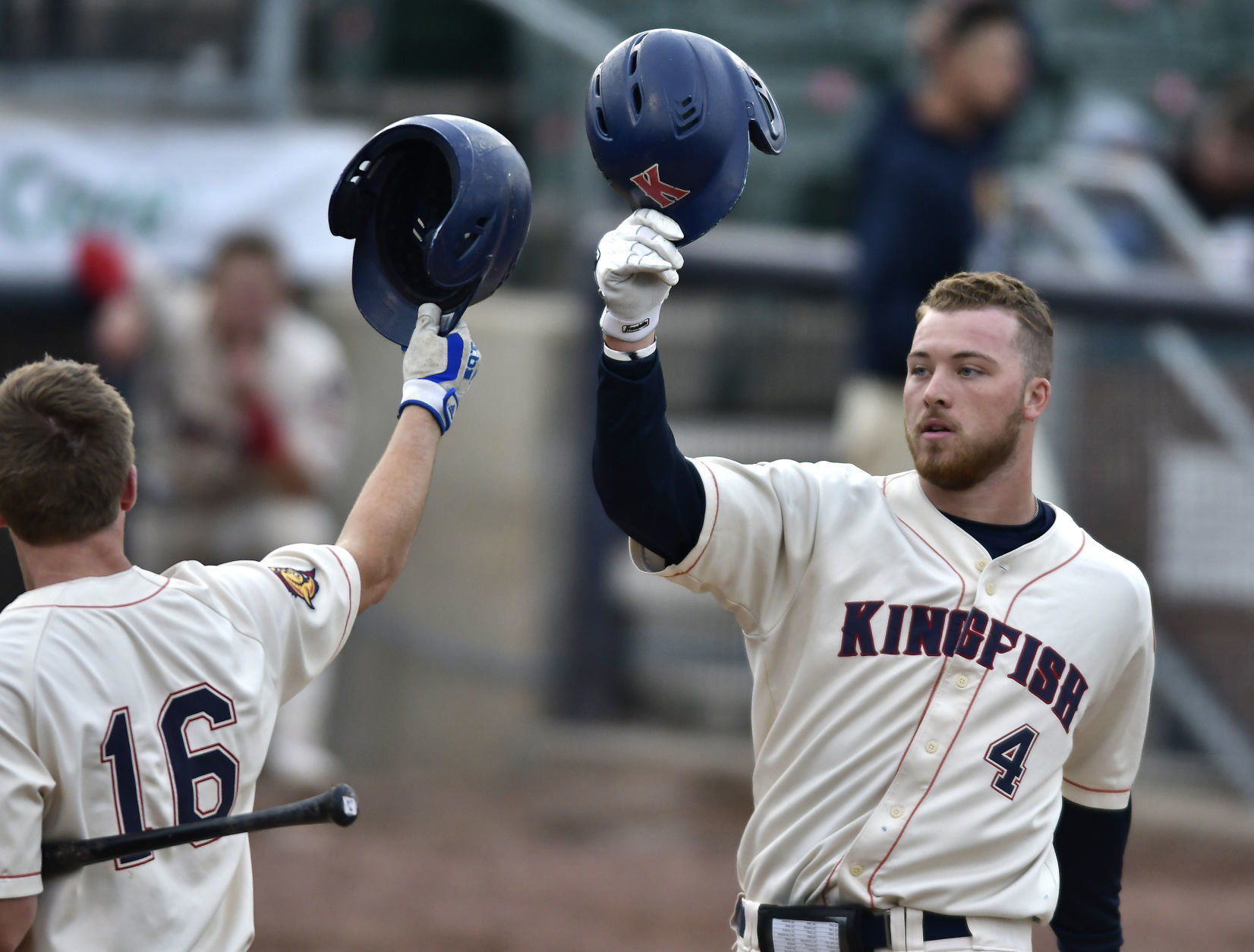 KINGFISH VS WOODCHUCKS